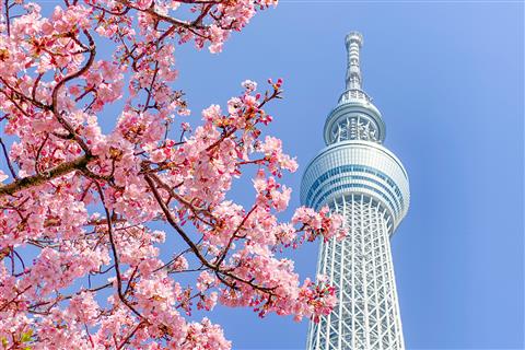 東京スカイツリー(春頃撮影)　cTOKYO-SKYTREE